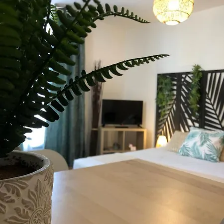 Apartman Equateur-centre Jaude