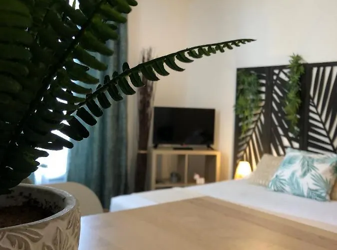 Daire Equateur-centre Jaude